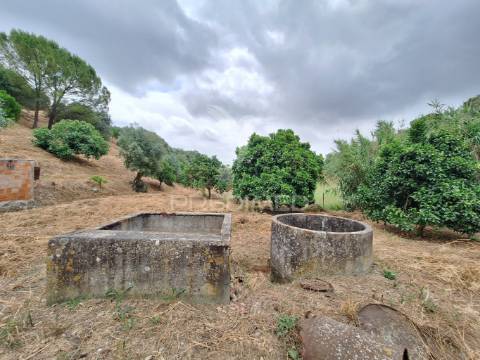 Dois terrenos rústicos, achete, santarém