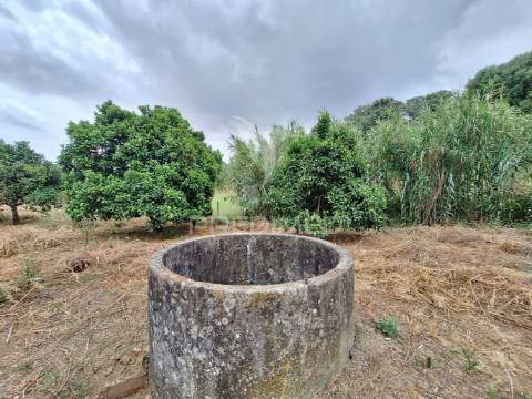 Dois terrenos rústicos, achete, santarém