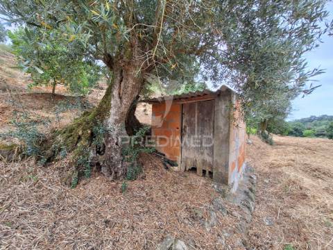 Dois terrenos rústicos, achete, santarém