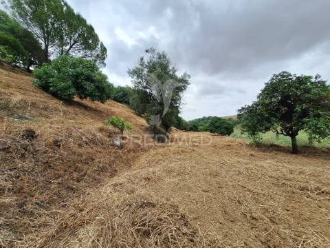 Dois terrenos rústicos, achete, santarém