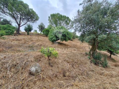 Dois terrenos rústicos, achete, santarém