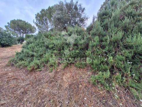 Dois terrenos rústicos, achete, santarém