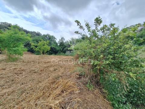 Dois terrenos rústicos, achete, santarém