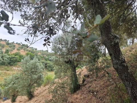 Dois terrenos rústicos, achete, santarém