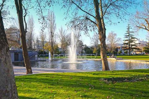 Terreno bonfim /setúbal