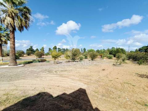 Magnífica quinta t5 com piscina e terreno de 2,4h em aveiras de cima, azambuja