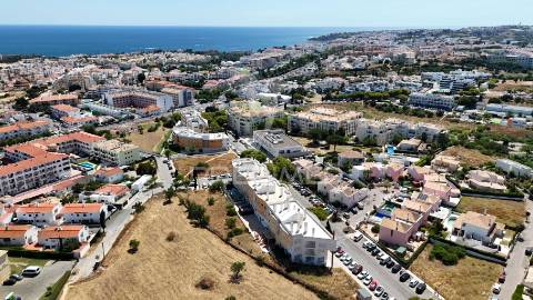 T1+ 1 magnífico: uma grande oportunidade