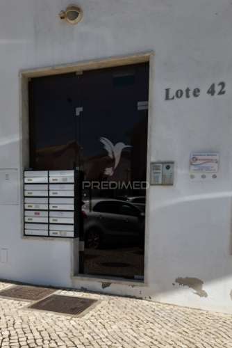 T1+ 1 magnífico: uma grande oportunidade