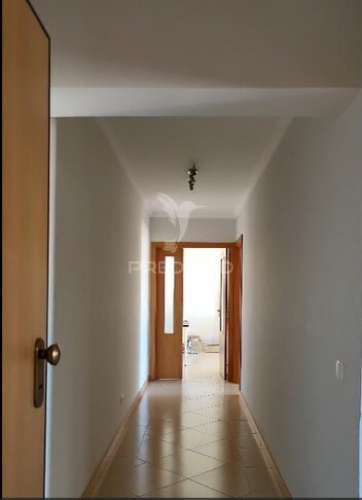 T1+ 1 magnífico: uma grande oportunidade