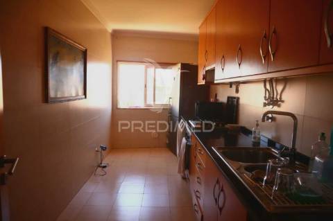 T1+ 1 magnífico: uma grande oportunidade