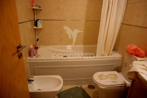 T1+ 1 magnífico: uma grande oportunidade