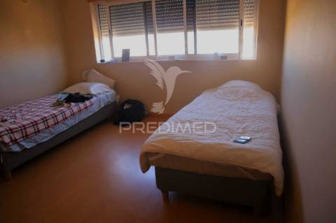 T1+ 1 magnífico: uma grande oportunidade