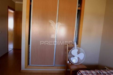 T1+ 1 magnífico: uma grande oportunidade