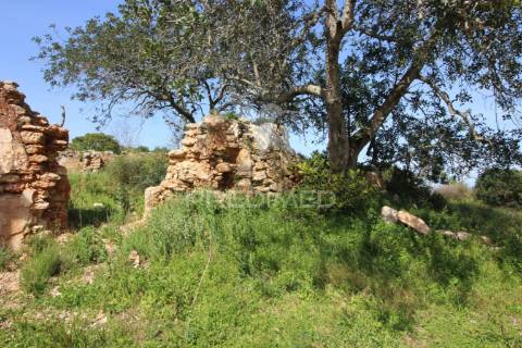 Terreno rústico c/ ruína geminada