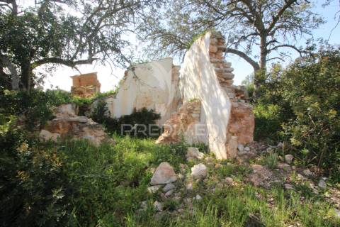 Terreno rústico c/ ruína geminada