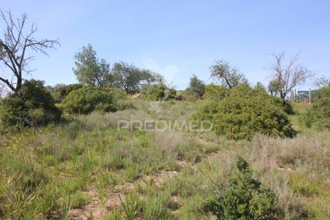 Terreno rústico c/ ruína geminada