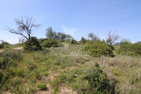 Terreno rústico c/ ruína geminada