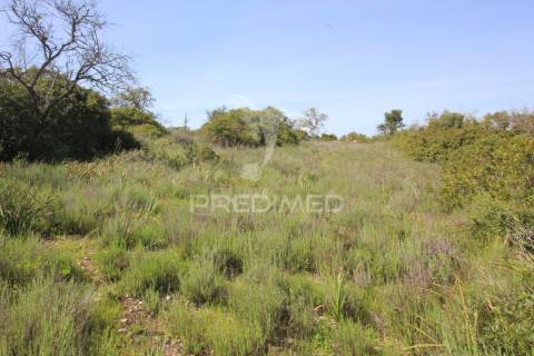 Terreno rústico c/ ruína geminada