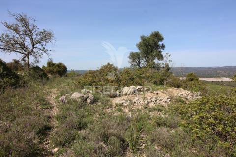 Terreno rústico c/ ruína geminada