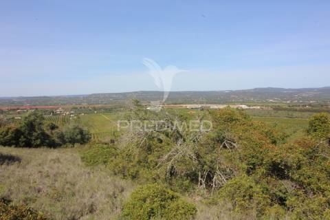 Terreno rústico c/ ruína geminada