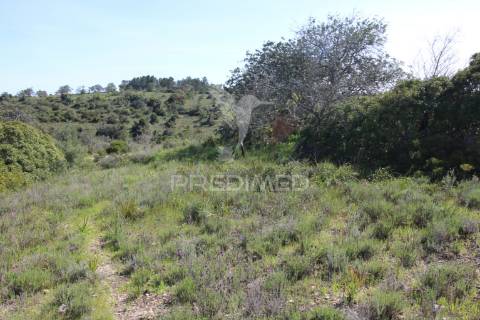 Terreno rústico c/ ruína geminada