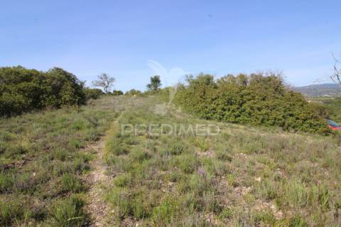Terreno rústico c/ ruína geminada