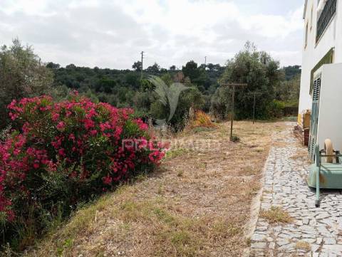 Quintinha - fonte dos fornos - portalegre