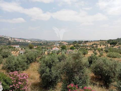 Quintinha - fonte dos fornos - portalegre