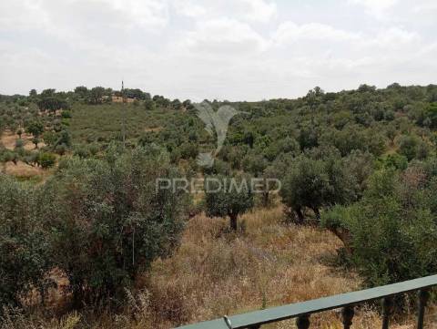 Quintinha - fonte dos fornos - portalegre