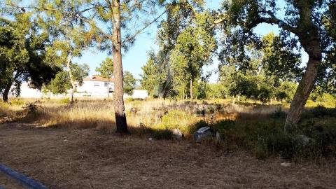 11 lotes de terrenos para futura urbanização em azeitão ou quinta
