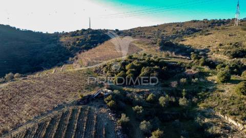 Propriedade de excelência com mais de 22 hectares no coração do douro