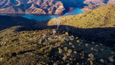 Propriedade de excelência com mais de 22 hectares no coração do douro