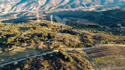 Propriedade de excelência com mais de 22 hectares no coração do douro