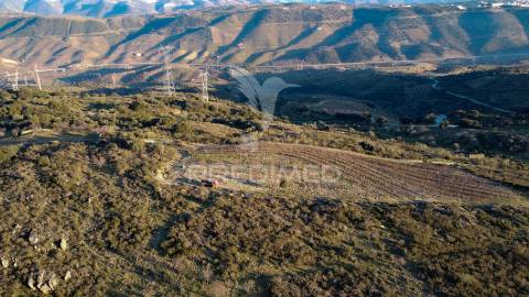 Propriedade de excelência com mais de 22 hectares no coração do douro