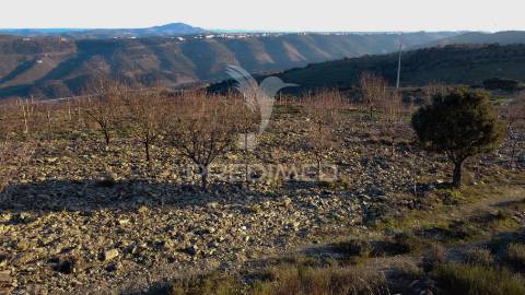 Propriedade de excelência com mais de 22 hectares no coração do douro