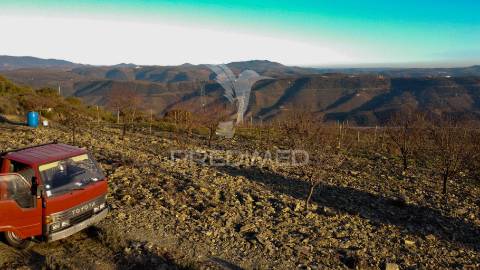 Propriedade de excelência com mais de 22 hectares no coração do douro