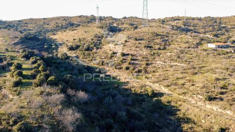Propriedade de excelência com mais de 22 hectares no coração do douro