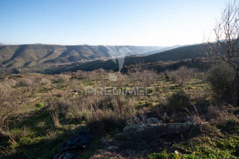 Propriedade de excelência com mais de 22 hectares no coração do douro
