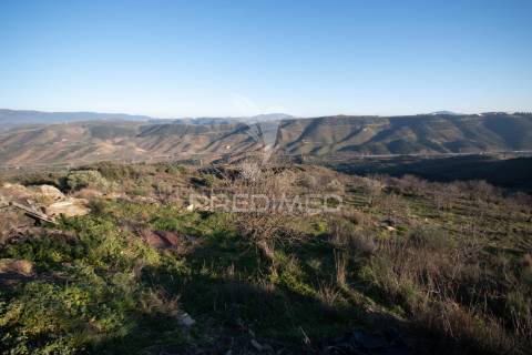 Propriedade de excelência com mais de 22 hectares no coração do douro