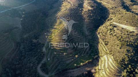 Propriedade de excelência com mais de 22 hectares no coração do douro