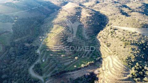 Propriedade de excelência com mais de 22 hectares no coração do douro