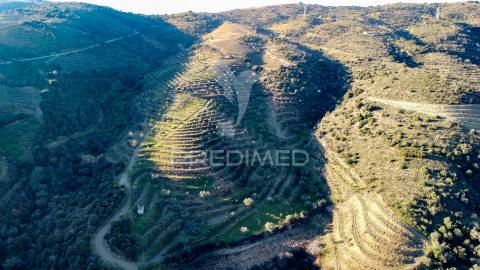 Propriedade de excelência com mais de 22 hectares no coração do douro