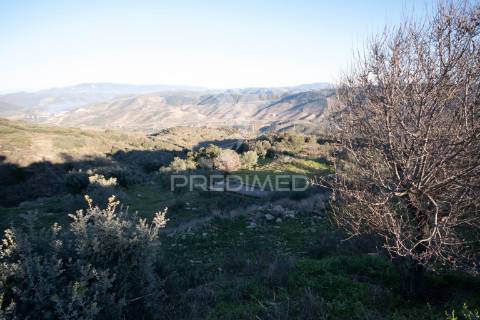 Propriedade de excelência com mais de 22 hectares no coração do douro