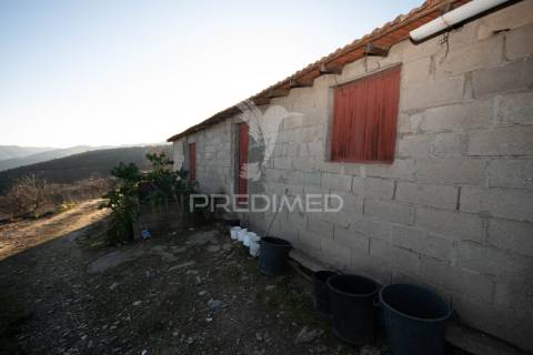 Propriedade de excelência com mais de 22 hectares no coração do douro