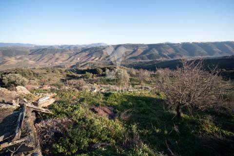 Propriedade de excelência com mais de 22 hectares no coração do douro