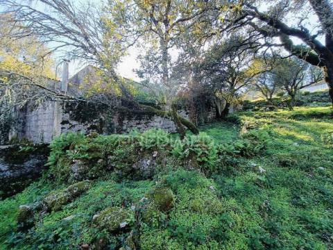 Moradia  t2 para recuperar (s. mamede)