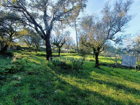 Moradia  t2 para recuperar (s. mamede)