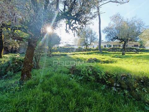 Moradia  t2 para recuperar (s. mamede)