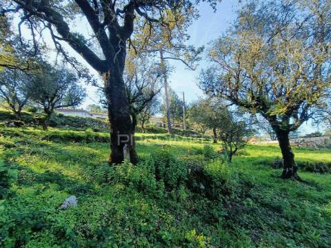 Moradia  t2 para recuperar (s. mamede)