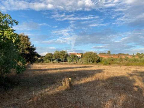 Terreno para construção em aljustrel muito proximo a fátima.